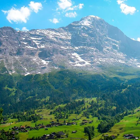 Mit Bergblick By Interhome Γκρίντελβαλντ