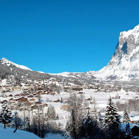 Daire Mit Bergblick By Interhome Grindelwald