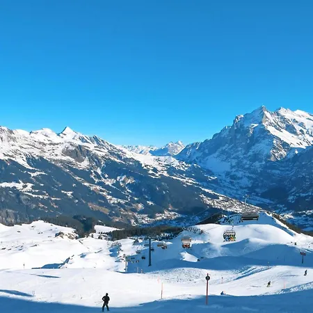 Mit Bergblick By Interhome Daire Grindelwald