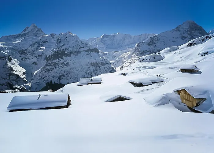 Mit Bergblick By Interhome * Grindelwald