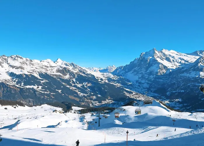 Mit Bergblick By Interhome Appartamento Grindelwald