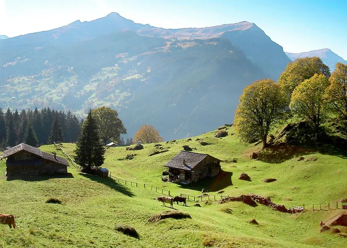 Mit Bergblick By Interhome 格林德瓦